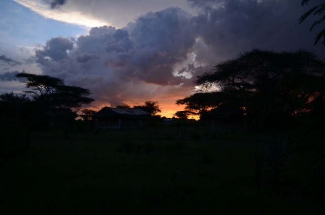 Sunrise over the Serengeti, our last day before heading home.  We didn't want to leave.